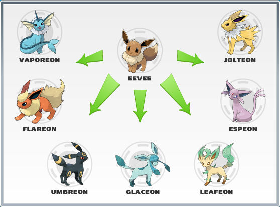 Jolteon Evolution Chart